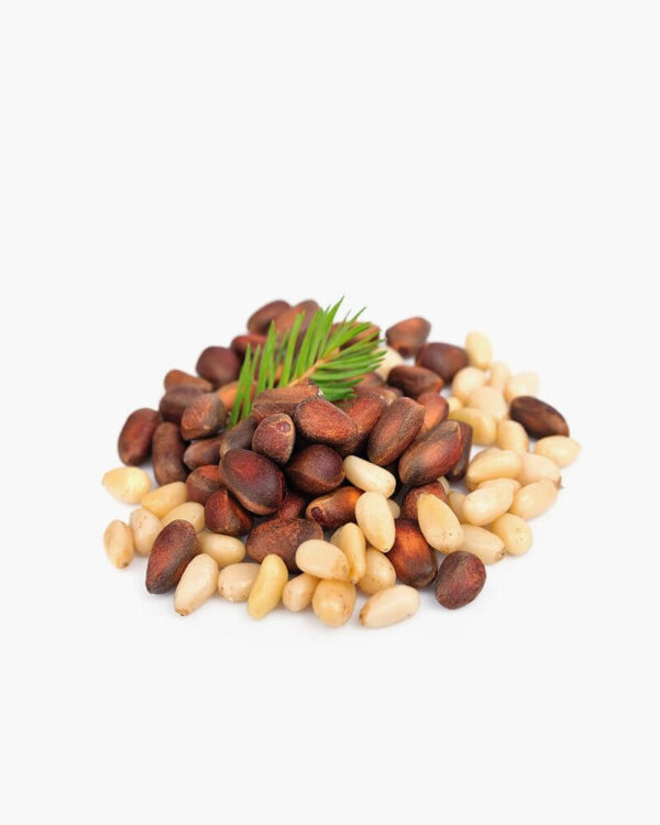 Pine Nuts